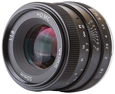 FOTGA 50mm F / 1.8 Messa a fuoco manuale Obiettivo MF Prime per Sony E-montare A6500 A6300 A6000 A5000 A5100 NEX-7 NEX-5A NEX-5T NEX-5C NEX-5 NE NEX-5R NEX-6 Telecamere Dslr