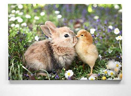 Wandbilder zu Ostern, Eine wunderschöne Osterdeko, Osterhase & Kücken als 50x50cm großes Leinwand-Bild. Dekorieren Sie Küche, Wohnzimmer, Schlafzimmer. Aufgespannt auf 2cm Holzrahmen