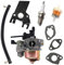 HURI Carburateur avec joint pour tuyau à essence, filtre à essence, bougie d'allumage pour plaque vibrante DENQBAR DQ0139, Zipper ZI-BR160Y, Eberth GG1-CV4800