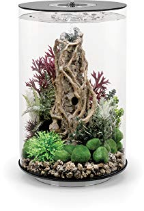 biOrb 72066 TUBE 30 LED, schwarz (30 L), Ø 32,8 x H 51,3 cm - Komplett-Set mit Acrylglas-Aquarium, LED-Beleuchtung, Filtersystem und Boden-Keramik