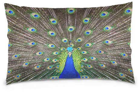 Linomo Kissenbezug 40x60 cm, Tier Pfau Feder Dekorative Kissenbezug Kissenhülle für Couch Sofa Bett Hause