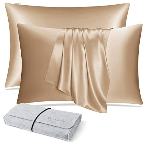 DISANGNI 100% Natural Mulberry Silk Pillow case for Hair and Skin with Hidden Zipper 22 Momme Both Sides Real Silk Pillow Case (2pc 50x75cm, Gold)