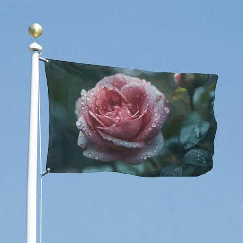 Flagge, 88,9 x 149,9 cm, doppelseitige Hofflagge, Rosen im Regen, Gartenflagge, Willkommensflaggen für den Außenbereich, Urlaubsbanner mit Messingösen, Hausflagge, Frühling, Sommer, große