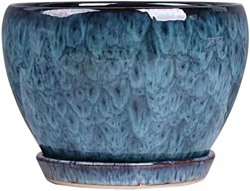 TIECHUINIUB Vaso da fiori blu per piante grasse da interni, extra large, per soggiorno, verde con foro di scarico, vaso per bonsai, contenitore per fiori smaltato con-M