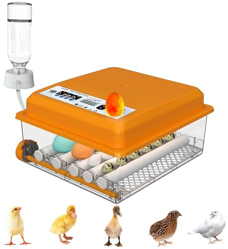 Umisu Incubadora de Huevos Automática 12-16 Huevos, Couveuse con Control de Temperatura, Rodillos Ajustables, Llenado de Agua Automático y Ovoscopio Integrado, Naranja