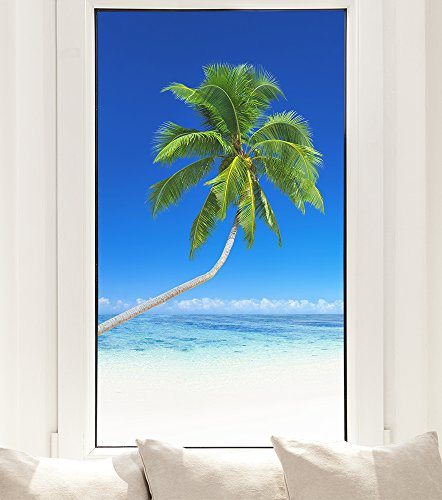 Hochwertige Fensterfolie - Palme - 40 x 70 cm