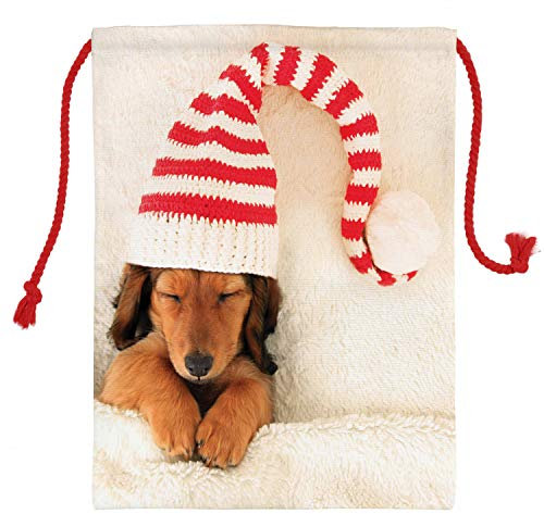 ABAKUHAUS Dackel Geschenksack, Hund in der Weihnachts Elf-Hut, Nikolas Weihnachts Tasche Tüte aus Stoff für Geschenke, Ivory Zimt, 30x40cm