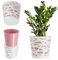 KADAX Maceta Redonda de Plástico para Flores y Plantas - Macetero Ligero y Moderno para Interiores y Balcón (15 cm, Rosa)