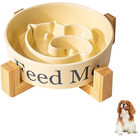 SEATOGEM Ceramic Cat Bowl, Anti-Slip Slow Feeder Cat Bowl, Cat Feeding Bowl for Food, Raised Cat Feeder Suitable for Small Dogs Cats