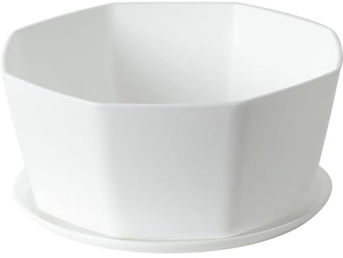 Jorzer Pots de fleurs en céramique avec trou de drainage pour plantes succulentes et plantes d'intérieur - 20,3 cm - Avec plateau en bambou - Blanc