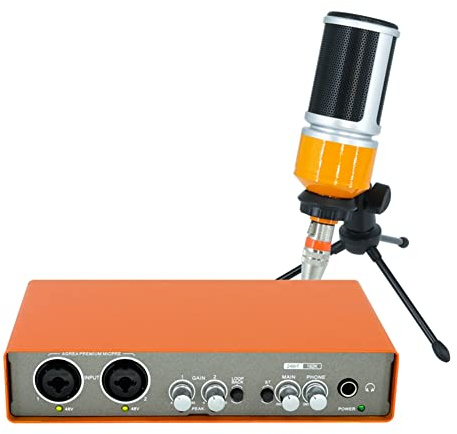 Jooehyer Professionelles Mikrofon Audio Interface Recording Soundkarte E-Gitarren Mixer Professionelles Mischpult