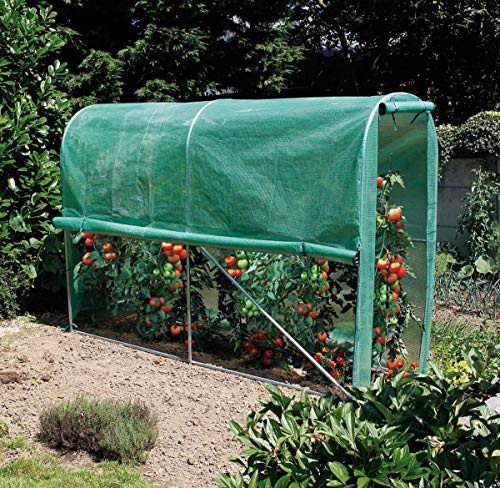 Tomato Greenhouse (serre avec film PE 140g/m²) 3x1x2m