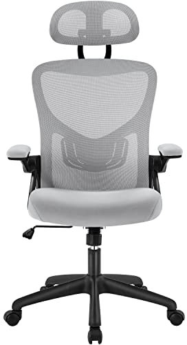 Yaheetech Office Chair Mesh Computer Chair with Adjustable Headrest and Lumbar Support Desk Chair Modern Ergonomic Office Chair With Flip-up Armrest for Home Conference Office, Light Grey