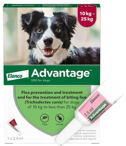 Advantage Spot On Flea Treatment For Large Dogs 10 - 25kg (1 pipette, 250mg), Kills Fleas Within 24 Hours, Prevents Further Infestation For Up To Four Weeks
