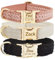 Personalisiertes Hundehalsband-Set (Gitterkragen)