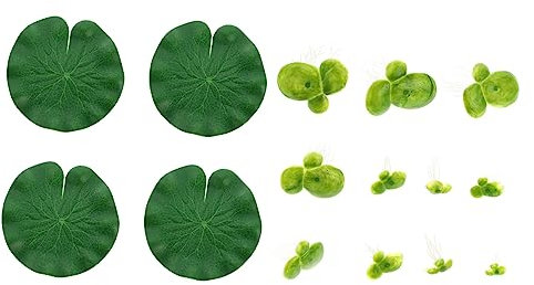 Cabilock 5 Juegos Hoja De Loto De Lenteja De Agua Simulada Plantas Flotantes Falsas Decoración Planta De Acuario Lenteja De Agua Acuario Adornos Pecera Acuario Artificial Páginas Green