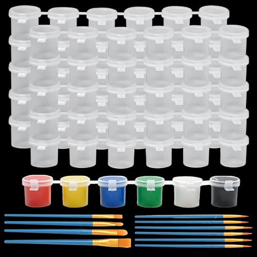Sixfolo 60 Pièces Pots de Peinture Vide 10ml pour DIY Arts Crafts,10 Bandes | Bande de Rangement Peinture avec Couvercle,Petit Contenant Peinture Vide en Plastique avec Pinceaux de Peinture