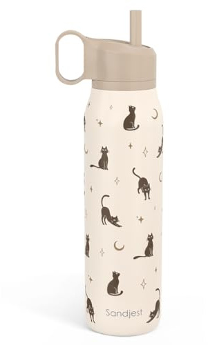 SANDJEST Cat Stainless Steel Water Bottle with Twist Lid 20oz, Travel Insulated Water Bottles for Sports & Gym, Gift for Women Girls Friends Pet Lovers Cat Moms Birthday Christmas