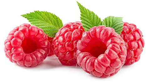 Raspberry Plants, 'Polka', 2 x Full Plants in 2 Litre Pots, Fruit Plants, Raspberries, Garden Fruit, Delicious Raspberry, Garden Ready and Ready to Plant, Premium Quality Raspberries