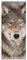 Pixxprint Glasbild Panorama, Wandbild aus Echtglas, Wachsamer Wolf, 120x50 cm, inkl. Aufhängung und Abstandshalter