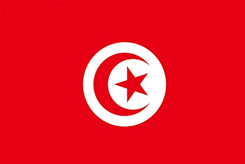 Aimant de réfrigérateur drapeau de la Tunisie