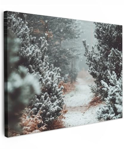 MuchoWow© Quadri Camera Da Letto 70x50 cm Stampe Da Parete Quadro Su Tela Moderni Decorazioni Murali Soggiorno Foto Quadretti Ingresso Casa Muro Foresta - Inverno - Alberi - Natura - Rospo
