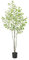 Zstar Künstlicher Ficus-Baum,180cm Groß Realistischer Ficus-Baum im Topf, Mit Realistischen Blättern Und Stamm, Große Kunstpflanzen für Schlafzimmer Balkon Innendekoration