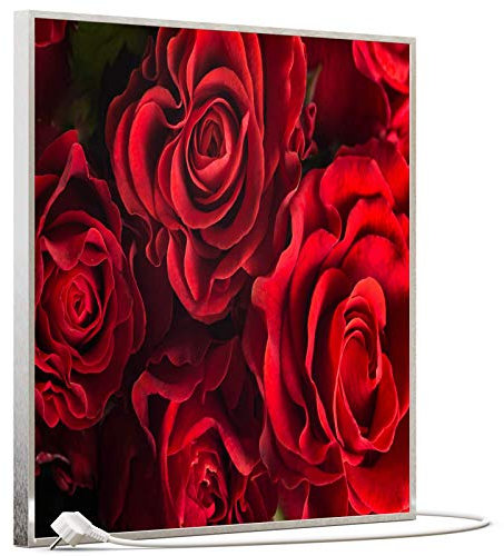 STEINFELD Bild Infrarotheizung mit Thermostat | Made in Germany | viele Motive 350-1200 Watt Rahmen silber (350W, 056 Rote Rose)