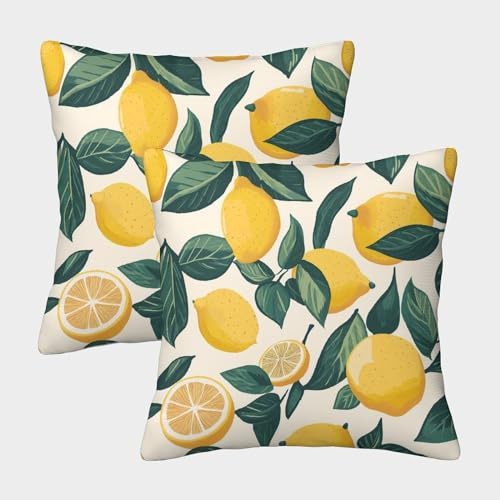 MXRMXR Zitrone Kissenbezüge 2er Set Zierkissenbezug Kuschelkissen für Sofa Schlafzimmer Kissenhülle 40x40cm