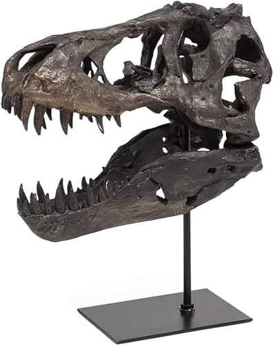 JOTNBOBO Statue de crâne de Sculptures de Dinosaures avec Support Réplique de crâne de tyrannosaure Décoration Réplique de crâne et d'os en résine avec Support pour la Maison, Le Bureau.