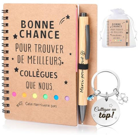 Coffret cadeau pour collègue, cadeau d'adieu pour un collègue qui change de travail, comprend un carnet et un porte-clés, meilleur cadeau de collègue, remerciement pour un départ, (Collègue parfait)
