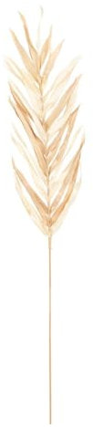 Atmosphera - Lot de 3 tiges de Palmier OVA h95cm Beige