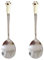 2 PCS Pet Food Spoon Cute Stainless Steel Dog Spoon Pet Food Scoop Paw Cat Can Spoon for Pets Premium Quality