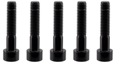 RISON-Titanium Titanschrauben DIN912 M8x1.25x30mm, Zylinderschrauben mit Innensechskant, Gewindeschrauben Sechskantschrauben, Zylinderkopfschrauben Inbusschrauben, 5 Stück