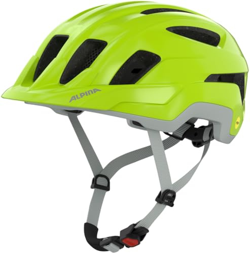 ALPINA PARANUS MIPS Helm 2025 be Visible Grey matt, 52-56