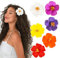 Pinza Pelo Flor Hawaianas,Pinzas pelo, Set 6 pinzas pelo con cepillo pelo, Pinzas pelo niña, Pinzas para el pelo, Pinzas de pelo, Pinza pelo grande, Clips pelo, Pinzas de pelo adolescentes