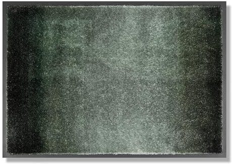 Schöner Wohnen Kollektion Fußmatte innen - Schmutzfangmatte 50 x 70 cm Verlauf waldgrün - rutschfeste Sauberlaufmatte robust - Fussmatte Haustür - Türmatte waschbar bei 30°C