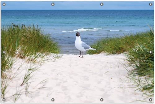 Wallario Outdoor-Poster für Garten oder Balkon Möwe auf der Düne, Motivbanner Größe: ca. 100 x 150 cm, Outdoor-Bild