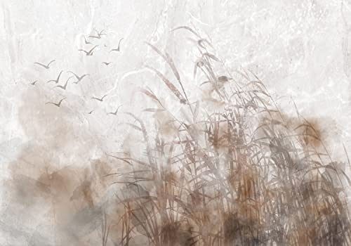 decomonkey Fototapete Natur Abstrakt 400x280 cm XXL Design Tapete Fototapeten Tapeten Wandtapete moderne Wand Schlafzimmer Wohnzimmer Vogel Gras Laub Pflanzen Stein beige