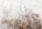 decomonkey Fototapete Natur Abstrakt 400x280 cm XXL Design Tapete Fototapeten Tapeten Wandtapete moderne Wand Schlafzimmer Wohnzimmer Vogel Gras Laub Pflanzen Stein beige