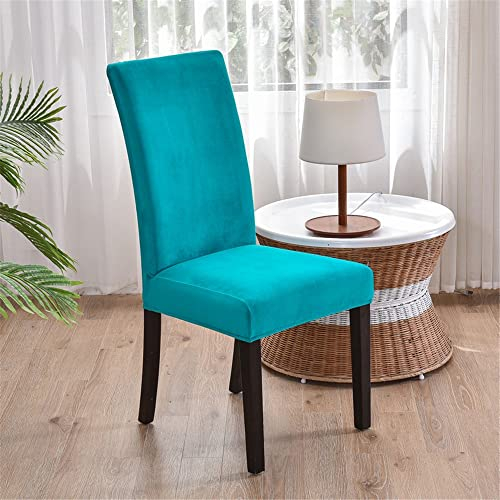 Morbuy Einfarbig Stuhlhussen Set Stretch Stuhlbezug für Esszimmerstühle, Samt Velvet Waschbarer Stuhlhussen Schwingstühle Stuhlüberzug für Haus Hotel Hochzeit Partys (6er Set,Türkis)