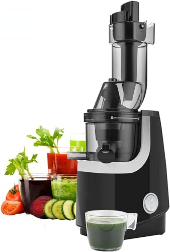 Masticating Juicer Machine - Quiet Motor with Reverse Function - Powerful Motor for Fresh and Healthy Fruits, Vegetables - Easy to Clean with Brush
