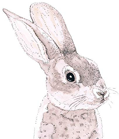 20 Servietten Liebevoller Hase | Tiere | Ostern | Tischdeko 33x33cm