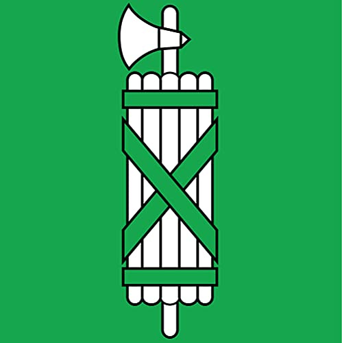 Stickerpalast 2X Auto Aufkleber ST. Gallen - Flagge 2X Car Sticker Fahne Schweizer Kanton (ca. 8 cm)