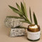 TALLOW ORIGINAL BALM NATUR aus Deutschland,100% Bio Rindertalg Creme für Hautpflege, Bio Beef Tallow Skincare von grasgefütterten Rindern vom Bodensee,100% natürliche Feuchtigkeitscreme (120ml)