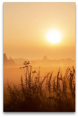 Paul Sinus 60x90cm Wandbild Morgensonne – Zauberhafte Morgenstimmung im Sonnenaufgang