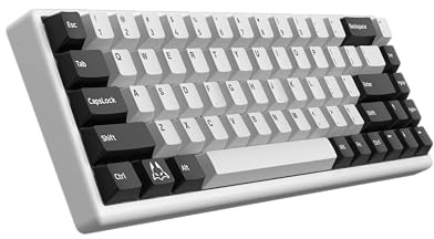 ARBITER Polar 65 Magnetische CNC-Gaming-Tastatur Mit Schnellauslöser, Hall-Effekt-Schaltern, CNC-Aluminiumrahmen, Rapid Key, % Kompakt, Helles RGB, Dual-Shot PBT-Tastenkappen, Weißer Panda
