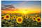 Panoramabild 120x80 cm - Sonnenblumen-Feld Helianthus beim Sonnenuntergang unter blauem Himmel! Tolle Farben! - Bild auf Keilrahmen modern stilvoll - Bilder und Dekoration