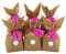 Papierdrachen 12 Osterhasen zum selber Basteln und Befüllen - Kreatives Geschenk zu Ostern mit 12 Papiertüten, Kordel und Pompons - für Mädchen