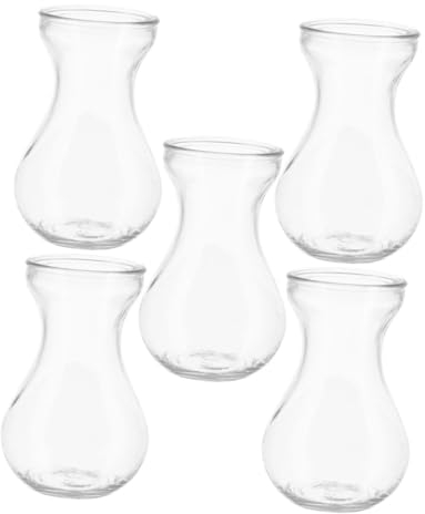 IMIKEYA 5stücke Glasvase Für Pflanzenarrangement Hydrokulturbehälter Aus Vase Für Blumenarrangements Tischdeko Glasvase Blumenvase Für Zuhause Und Büro